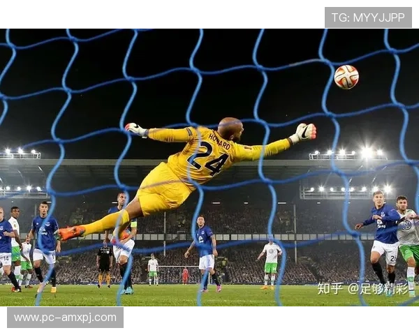 新普京足球官网网址最新入口全面解析助你轻松登录体验精彩赛事