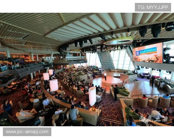 新葡京娱乐场图片合集带你感受顶级娱乐体验与丰富游戏项目的视觉体验